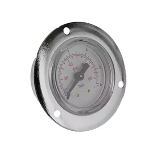 Manometer 6 bar  5741